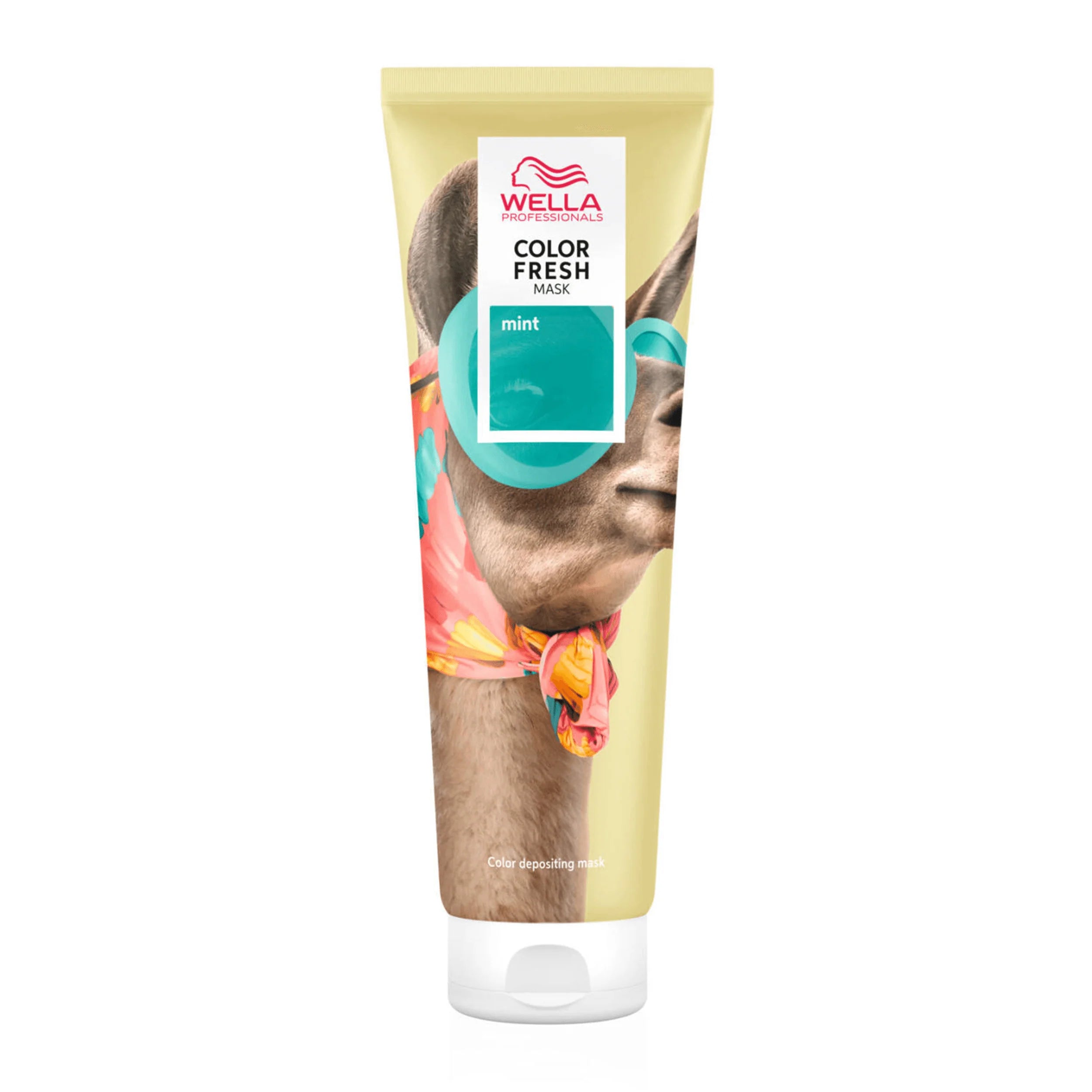 Wella Color Fresh Mask Mint 150ml | UKIYO Salon Wanaka